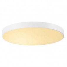 Светильник DesignLed DWR-1001X12-120-NW