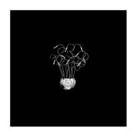 Бра Ideal lux Faville Ap10 000022