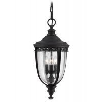 Светильник уличный подвесной Feiss FE/EB8/L BLK