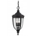 Светильник уличный подвесной Feiss FE/EB8/L BLK