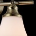 Спот Freya JUSINTA FR2272-CW-02-BS