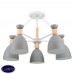 Потолочная люстра Freya Delia FR5033CL-05W