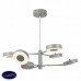 Потолочная светодиодная люстра Freya Gabby FR6009PL-L66GR