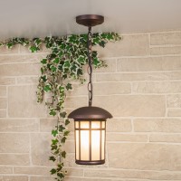 Уличный подвесной светильник Elektrostandard Lepus GL 1016H a043646 Уличный подвесной светильник Elektrostandard Lepus GL 1016H a043646