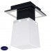 Потолочный светильник Lussole LENTE GRLSC-2507-01