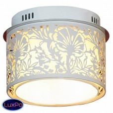 Потолочный светильник Lussole Vetere GRLSF-2307-04