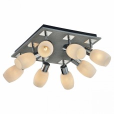 Спот Lussole HACKBERRY GRLSP-0051