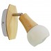 Спот Lussole CHANDLER GRLSP-0119