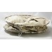 Торшер Lussole COTTONWOOD GRLSP-0503