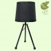 Настольная лампа Lussole AMISTAD GRLSP-0536