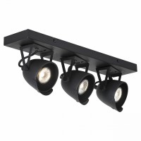 Спот Lussole GRLSP-9507