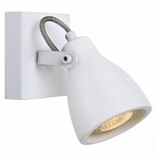 Спот Lussole Ban GRLSP-9822