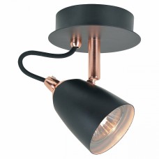 Спот Lussole GRLSP-9851