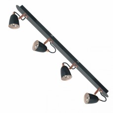 Спот Lussole GRLSP-9854