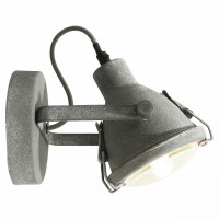 Спот Lussole GRLSP-9883