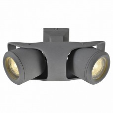 Спот Lussole Dias GRLSP-9939