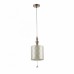Подвесной светильник Maytoni RIVE BIENCE H018-PL-01-NG