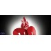                                                                  Настенный светильник Slamp                                        <span>Illuminati Cuore Red</span>                  