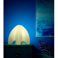 Одноцветный LED светильник Jellymoon Bright Starfish JM 056B