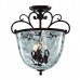 Потолочный светильник L'Arte Luce GELA L17753.19