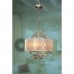Светильник подвесной L'Arte Luce TWIG L52003.60