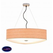 Подвесной светильник L'Arte Luce DELTA L67703.50