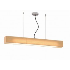Подвесной светильник L'Arte Luce RAIL L68302.34