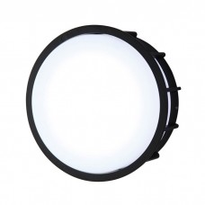 Светильник настенно-потолочный L'Arte Luce Telma L78055.31