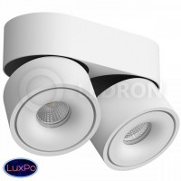 Светодиодный накладной светильник LeDron LH13 2 White