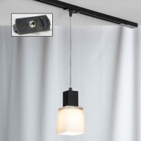 Светильник подвесной трековый Lussole Track Lights LSC-2506-01-TAB