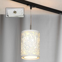 Светильник подвесной трековый Lussole Track Lights LSF-2306-01-TAW