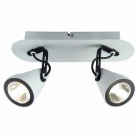 Спот светодиодный Lussole LSN-4101-02
