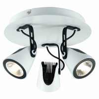 Спот светодиодный Lussole LSN-4101-03