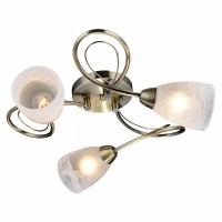 Люстра потолочная Lussole Бизенцио LSP-0187