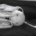 Люстра потолочная Lussole KENNER LSP-8269