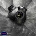 Светильник подвесной Lussole LSP-9558
