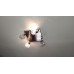 Люстра потолочная Lussole Treia LSQ-3601-04