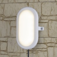 Светодиодный настенно-потолочный уличный светильник Elektrostandard LTB0102D 22 см 12W a036710