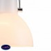 Светильник подвесной Maytoni Daniel MOD407-PL-01-N
