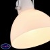 Светильник подвесной Maytoni Daniel MOD407-PL-01-N