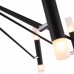 Люстра потолочная Maytoni Vigo MOD620CL-24B