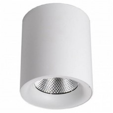 Точечный светильник Elvan NLS-584-24W-NH white