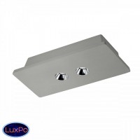 Светильник потолочный LOFT IT Architect OL1072-GH/2