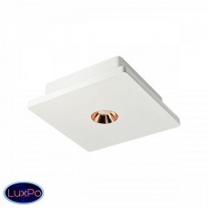 Светильник потолочный LOFT IT Architect OL1072-WG/1