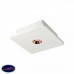 Светильник потолочный LOFT IT Architect OL1072-WG/1