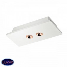 Светильник потолочный LOFT IT Architect OL1072-WG/2