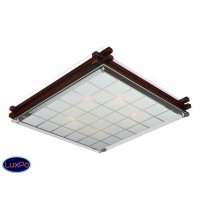 Светильник настенно-потолочный Omnilux Carvalhos OML-40507-05