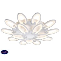 Люстра потолочная светодиодная Omnilux Glaston OML-45807-210