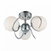 Люстра потолочная Omnilux Dalmine OML-64107-03