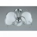 Люстра потолочная Omnilux Dalmine OML-64107-05